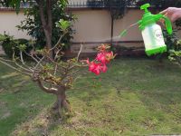 CÁC VẤN ĐỀ THƯỜNG GẶP CỦA BÌNH BƠM TAY
